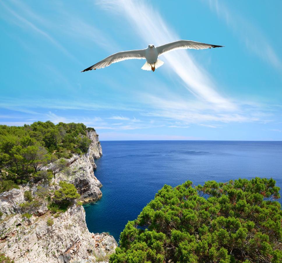 Bed and Breakfast Pansion Alen - Dugi Otok Luka  Екстер'єр фото