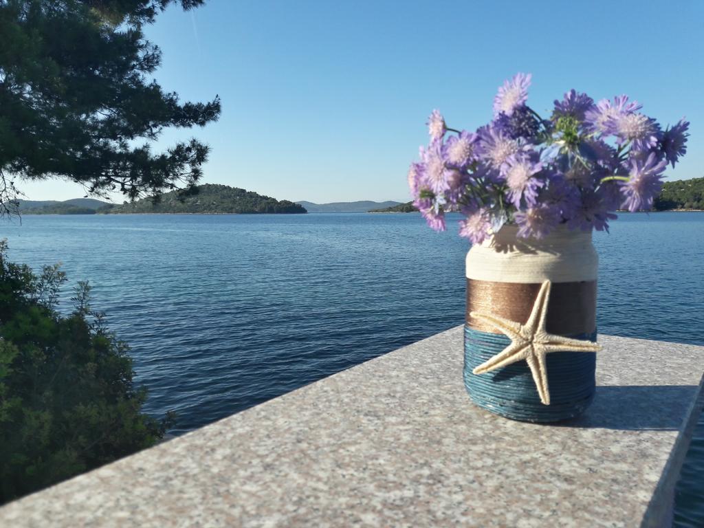 Bed and Breakfast Pansion Alen - Dugi Otok Luka  Екстер'єр фото