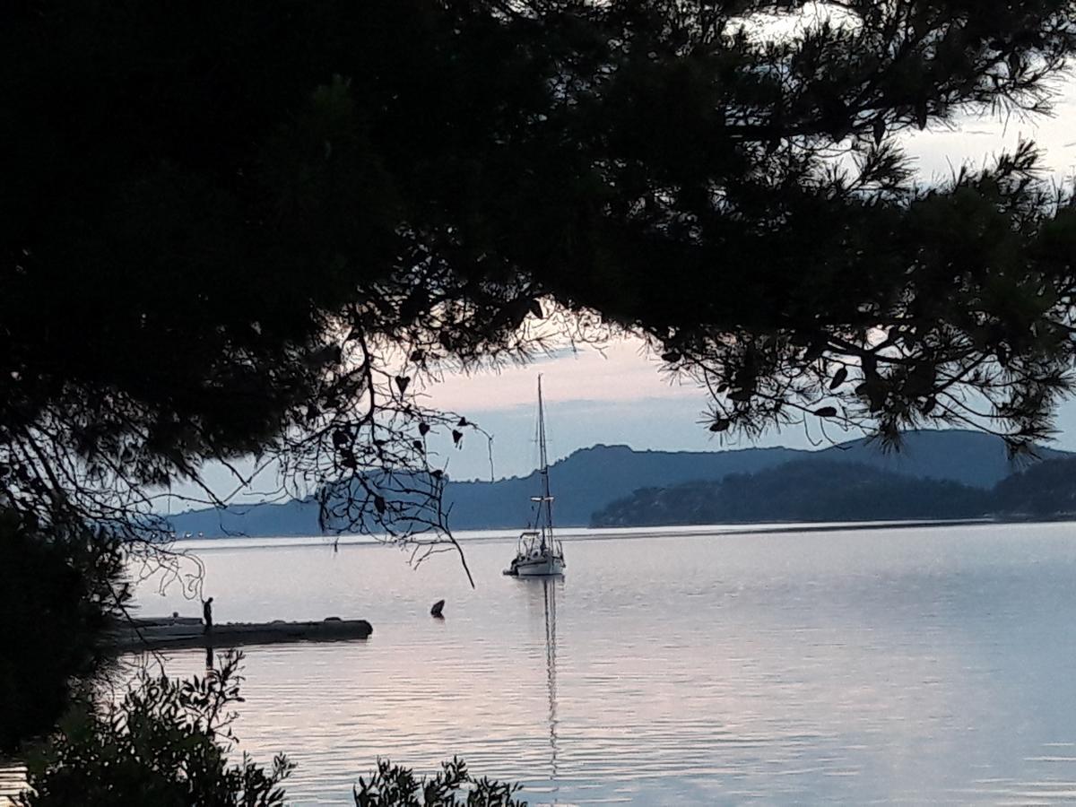 Bed and Breakfast Pansion Alen - Dugi Otok Luka  Екстер'єр фото